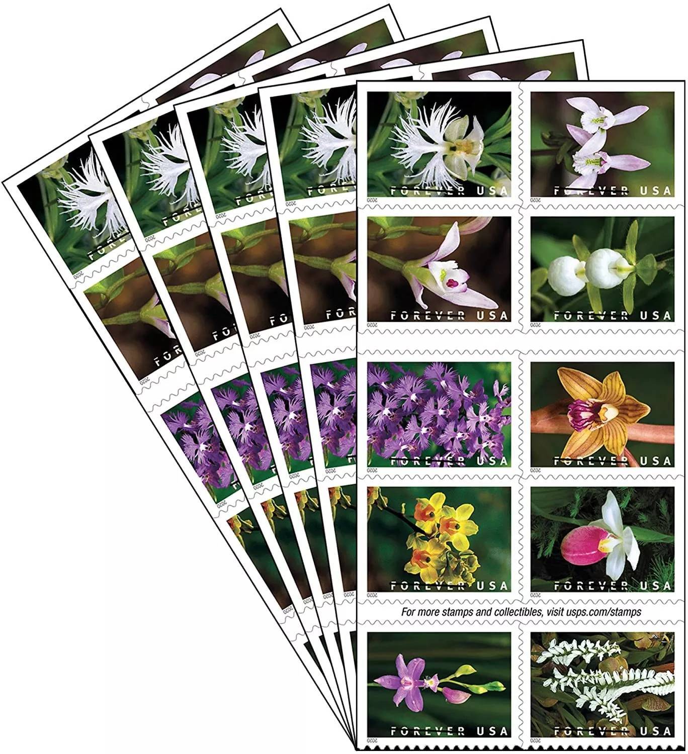 Wild Orchids Forever Stamps