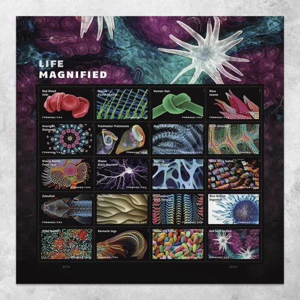 Life Magnified Forever Stamps