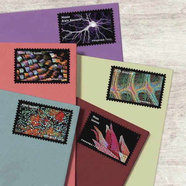 Life Magnified Forever Stamps