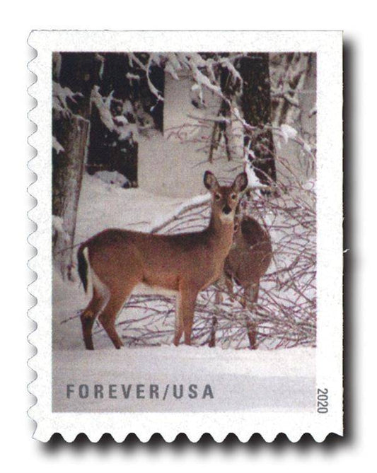 Winter Scenes Forever Stamps