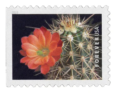 Cactus Flowers Forever Stamps